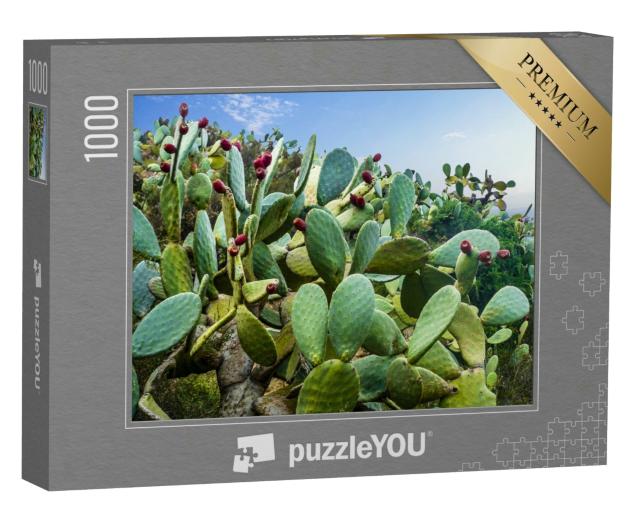 Puzzle 1000 Teile „Kaktusfeld bei Mexiko-Stadt“