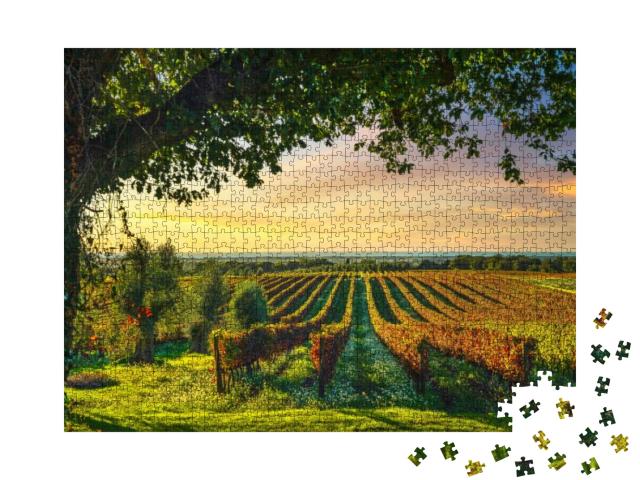 Puzzle 1000 Teile „Bolgheri Weinberg bei Sonnenuntergang, Toskana, Italien“