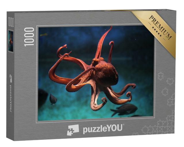Puzzle 1000 Teile „Gewöhnlicher Oktopus“