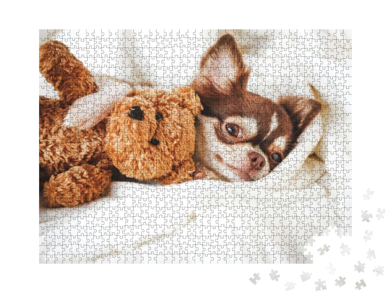Puzzle 1000 Teile „Chihuahua-Welpe schlafend mit Teddybär“