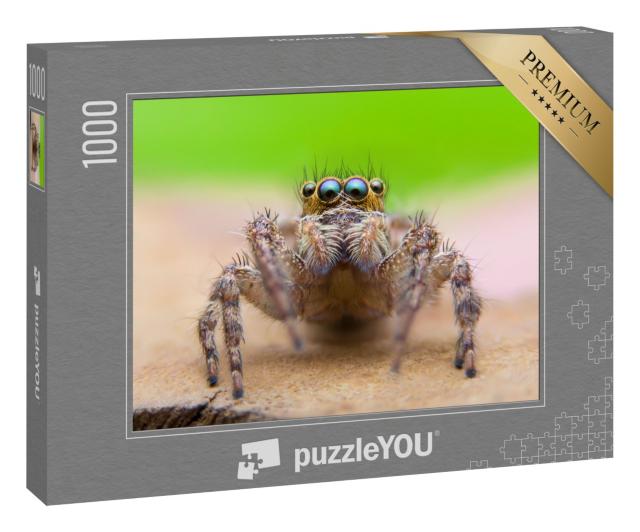 Puzzle 1000 Teile „Super-Makro-Fotografie der Springspinne“