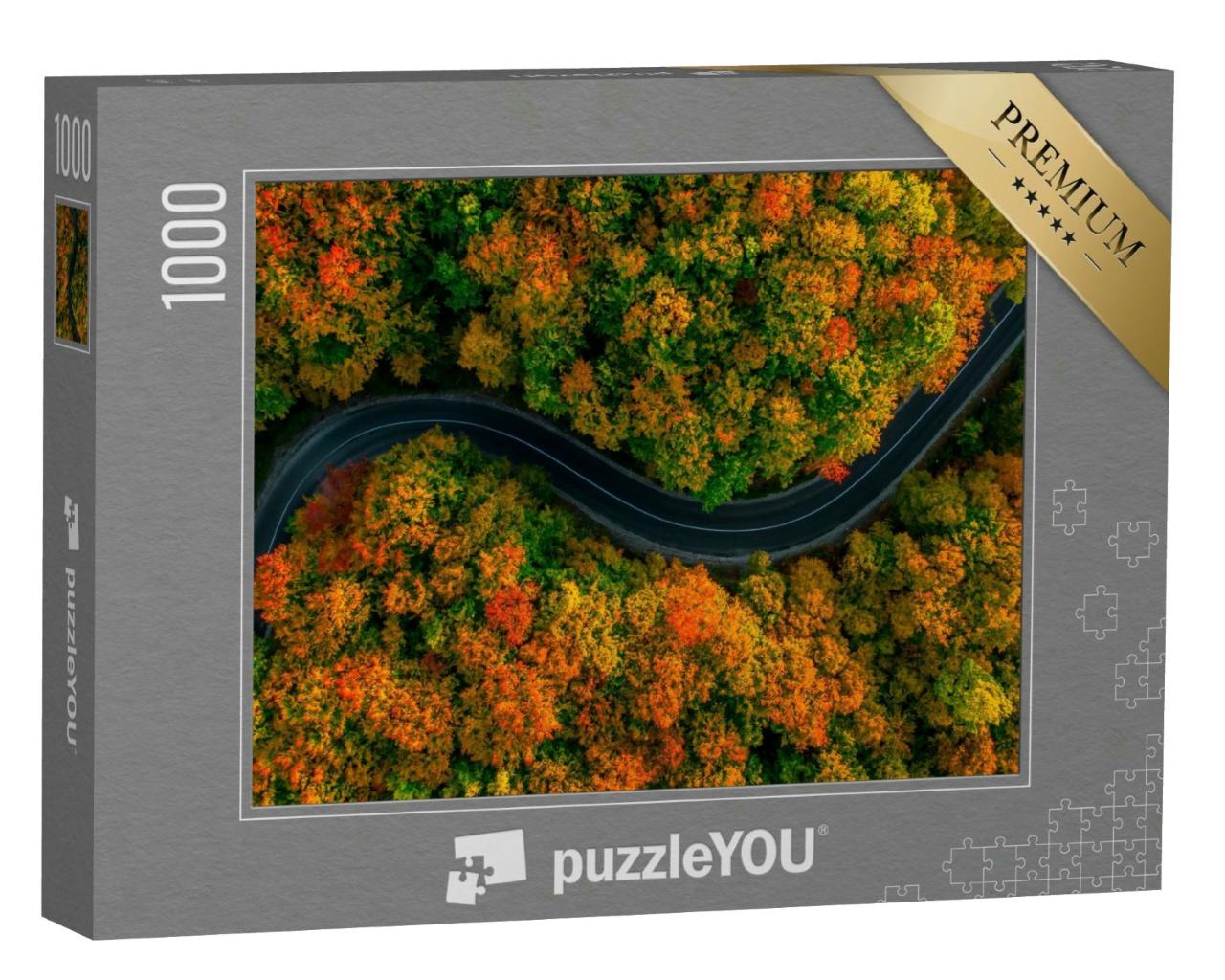 Puzzle 1000 Teile „Vogelperspektive: Gewundene Straße im dichten Herbstwald“