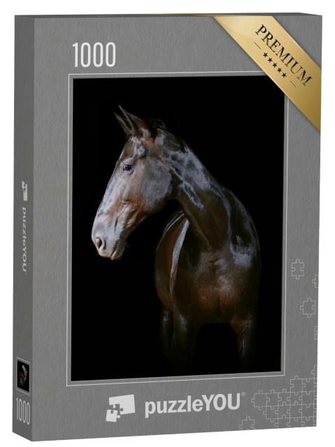 Puzzle 1000 Teile „Dunkles Pferd  “