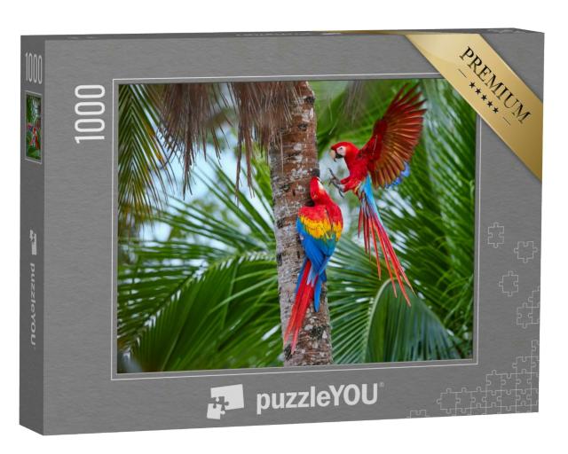 Puzzle 1000 Teile „Amazonas-Papageien an einer Palme“