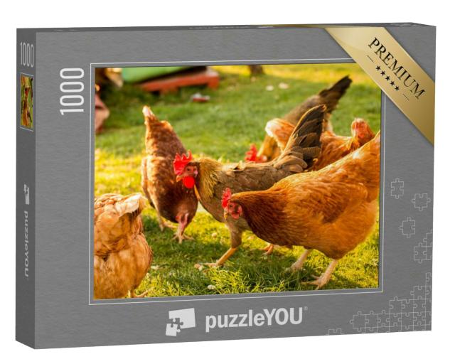 Puzzle 1000 Teile „Freilaufende Hühner auf einem Bauernhof“