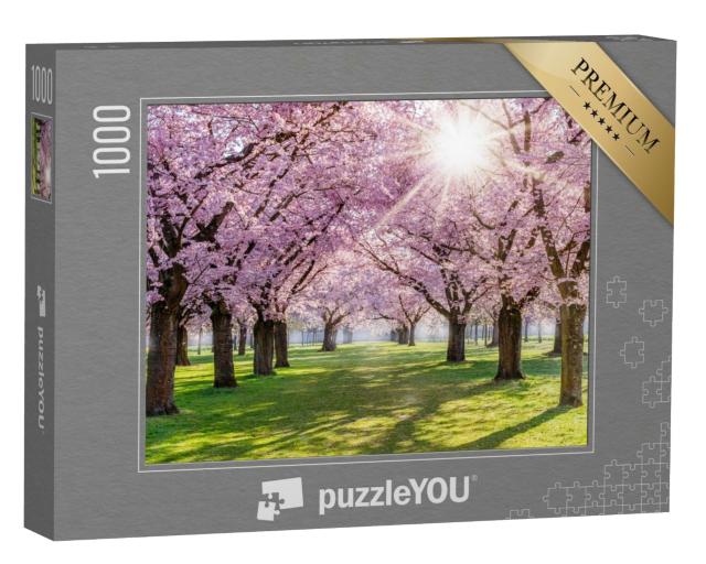 Puzzle 1000 Teile „Kirschblüte und Sonnenlicht im Park, Deutschland“
