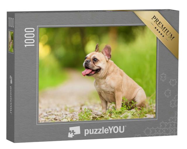 Puzzle 1000 Teile „Nahaufnahme einer Französischen Bulldogge“