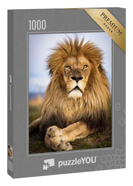 Puzzle 1000 Teile „Wilde Löwen in Südafrika“