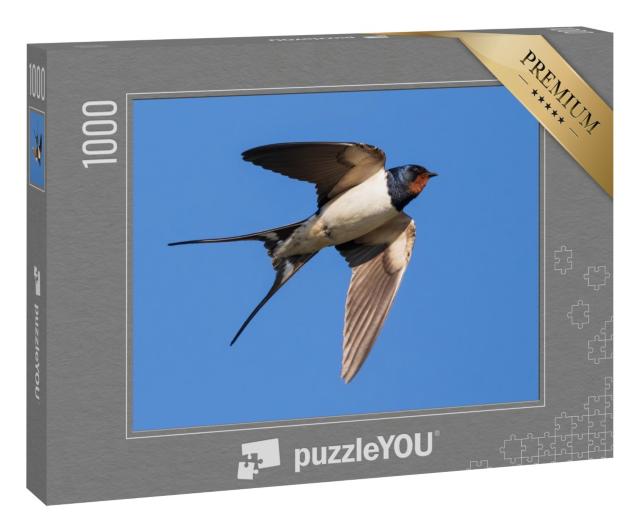 Puzzle 1000 Teile „Porträt einer fliegenden Rauchschwalbe“