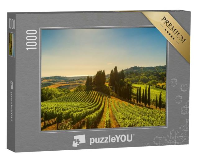 Puzzle 1000 Teile „Weinberge und Landschaft in der Maremma, Toskana, Italien“