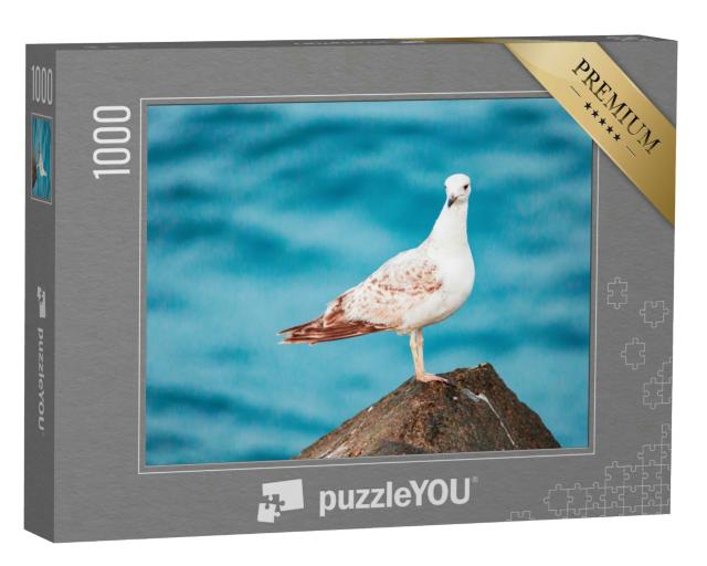 Puzzle 1000 Teile „Eine Möwe am Meer“