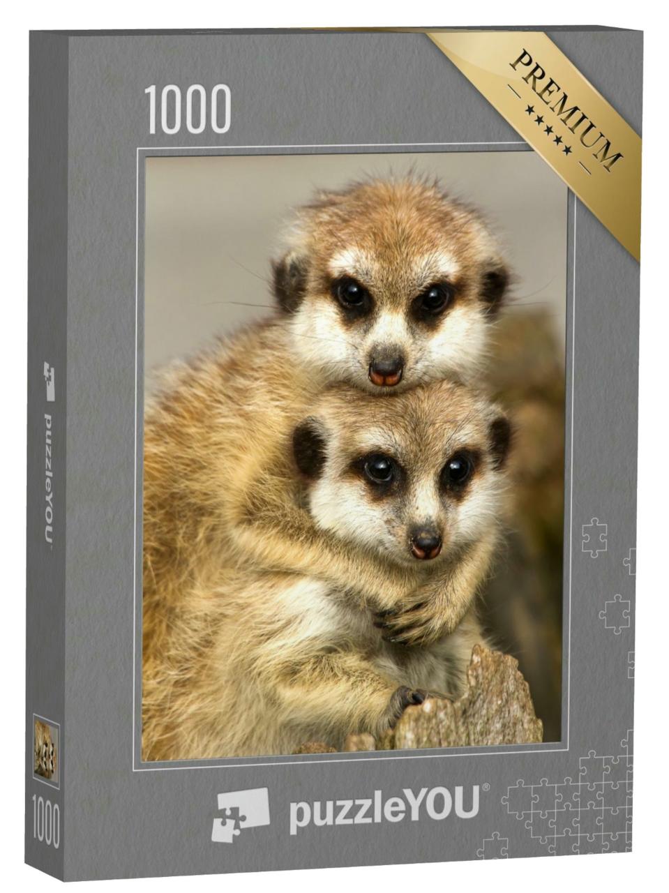 Puzzle 1000 Teile „Ein Paar Schlankschwanz-Erdmännchen “