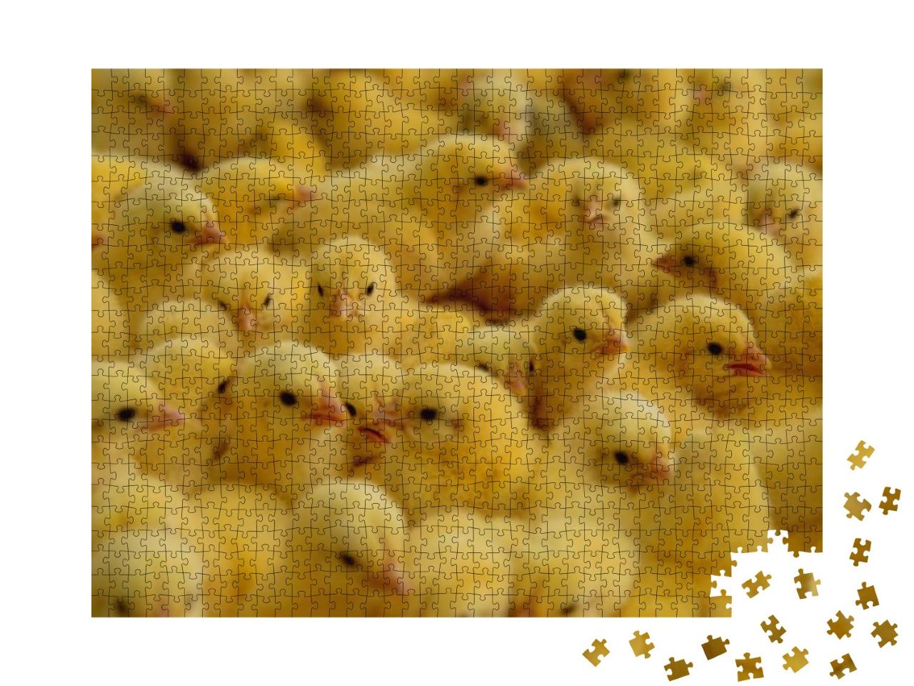 Puzzle 1000 Teile „Hühner auf einem Bauernhof“