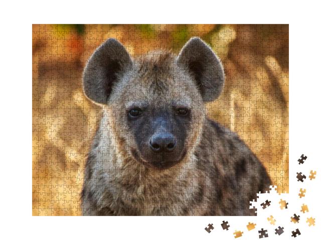 Puzzle 1000 Teile „Junge Hyäne im Abendlicht“