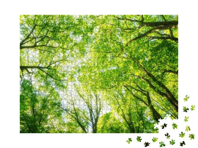 Puzzle 1000 Teile „Baumkronen leuchten wie grünes Feuer“