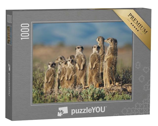 Puzzle 1000 Teile „Erdmännchen-Familie in Südafrika“