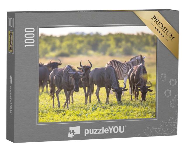 Puzzle 1000 Teile „Gnus beim Grasen im Mooiplaas-Flussbett “