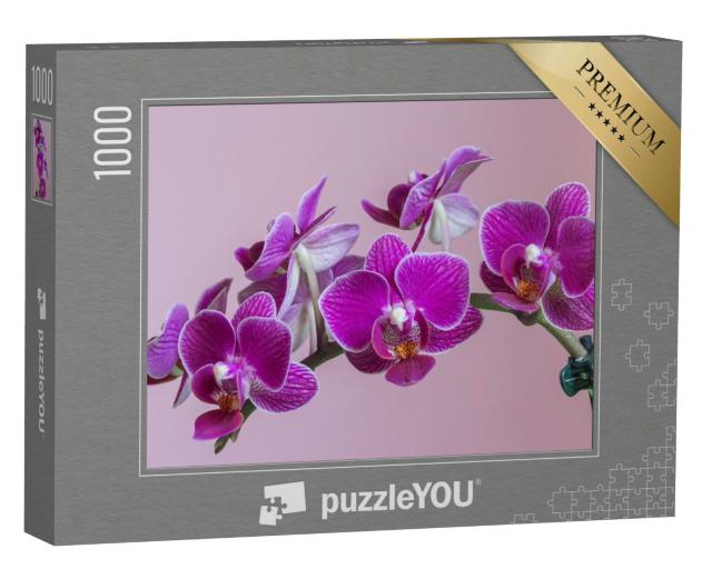 Puzzle 1000 Teile „Mottenorchidee als wunderschöne lila Orchidee“