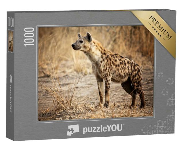 Puzzle 1000 Teile „Hyäne im Luangwa-Nationalpark in Sambia“