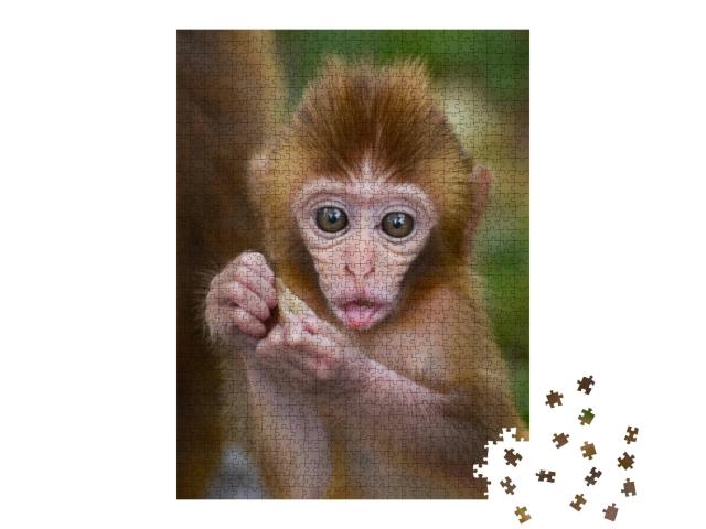 Puzzle 1000 Teile „Ein Affenbaby beim Essen im Wald“