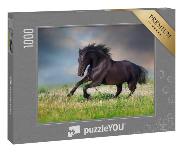 Puzzle 1000 Teile „Friesenpferd im Galopp auf frühlingsgrüner Wiese“