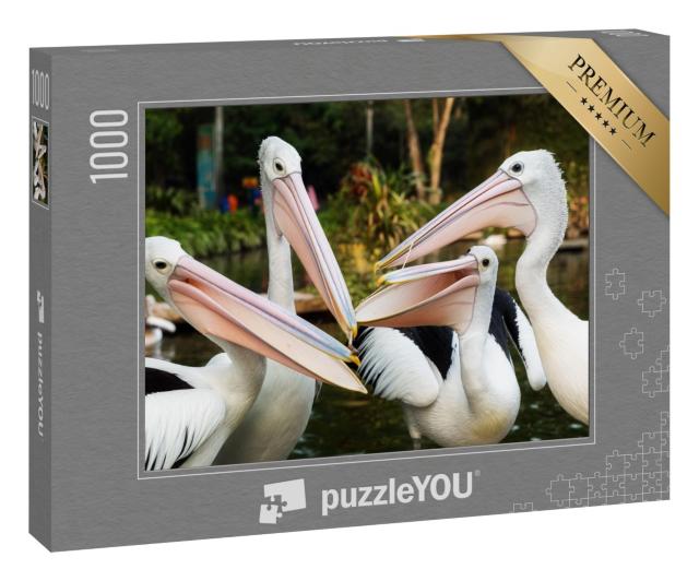 Puzzle 1000 Teile „Der Weiße Pelikan“