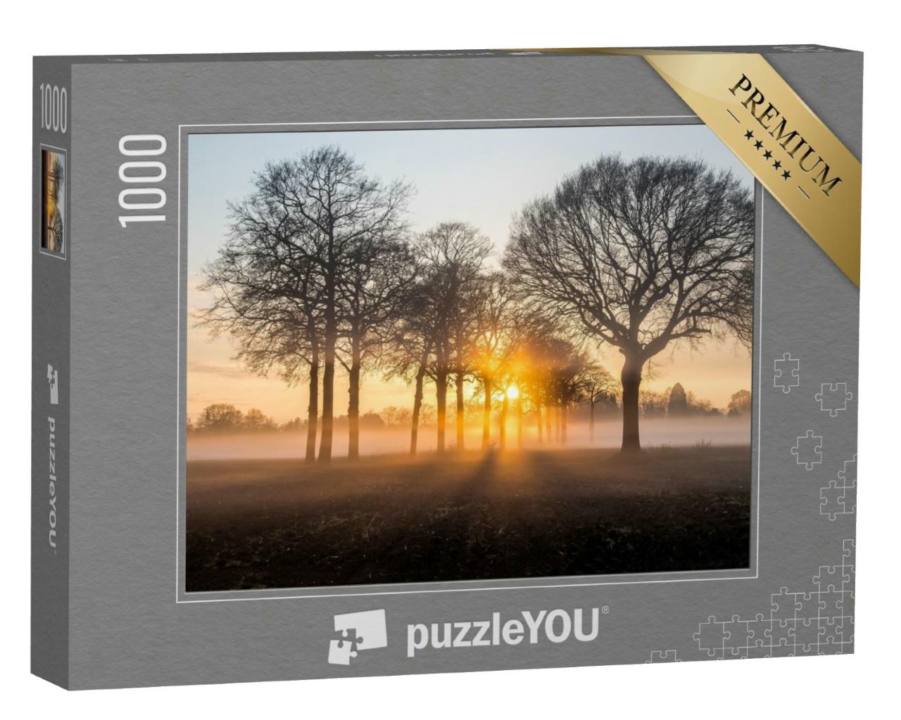 Puzzle 1000 Teile „Sonnenaufgang zwischen Bäumen im Morgennebel“