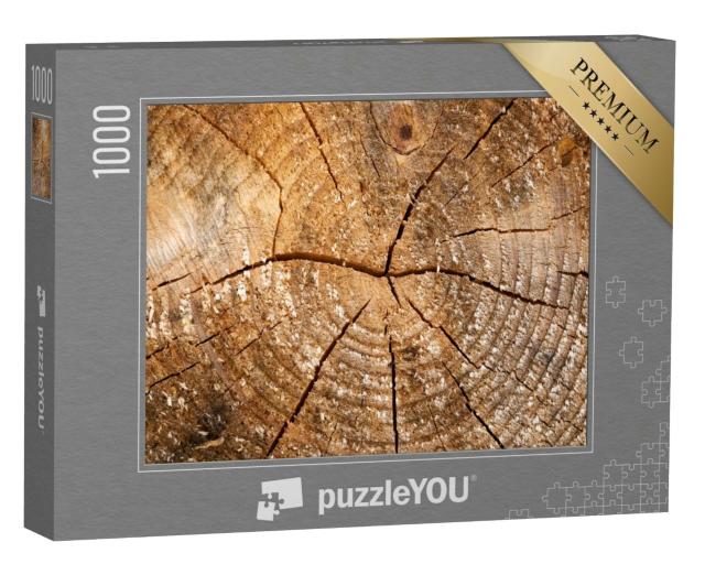 Puzzle 1000 Teile „Verwittertes Holz mit Jahresringen“