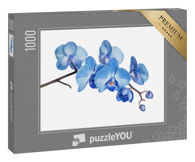 Puzzle 1000 Teile „Blühender Zweig der blauen Orchidee“