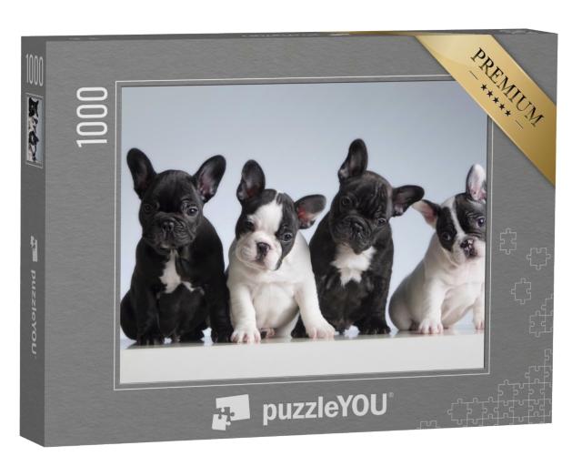 Puzzle 1000 Teile „Vier französische Bulldoggen“
