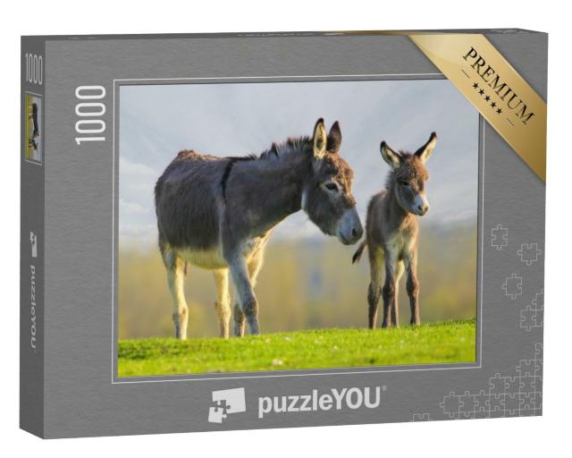 Puzzle 1000 Teile „Graues niedliches Eselbaby und Mutter auf Blumenwiese“