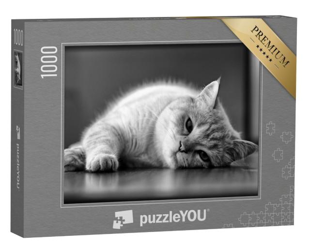 Puzzle 1000 Teile „Schläfrige Katze, schwarz-weiß“