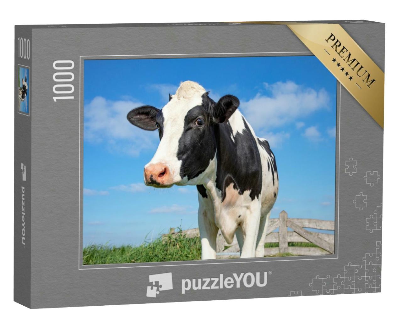 Puzzle 1000 Teile „Auge in Auge mit einer Kuh“
