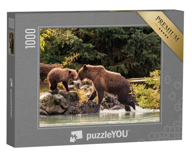 Puzzle 1000 Teile „Bärenmutter beim Fischen mit ihren Jungen, Alaska“