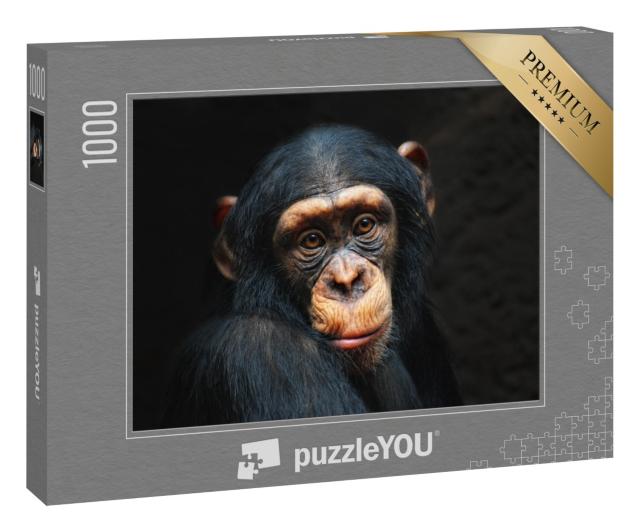 Puzzle 1000 Teile „Porträt eines Schimpansen“