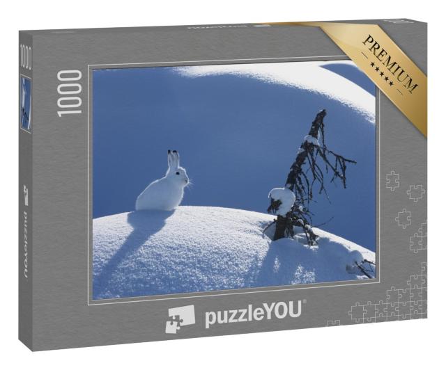 Puzzle 1000 Teile „Flauschiger Polarhase an einem sonnigen Tag im Winter“
