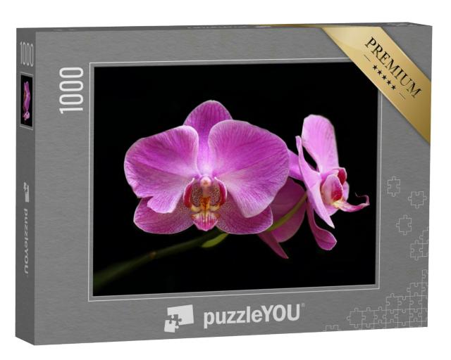 Puzzle 1000 Teile „Die rosa Mondorchidee“