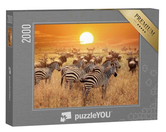 Puzzle 2000 Teile „Zebra bei Sonnenuntergang im Serengeti-Nationalpark, Afrika, Tansania“