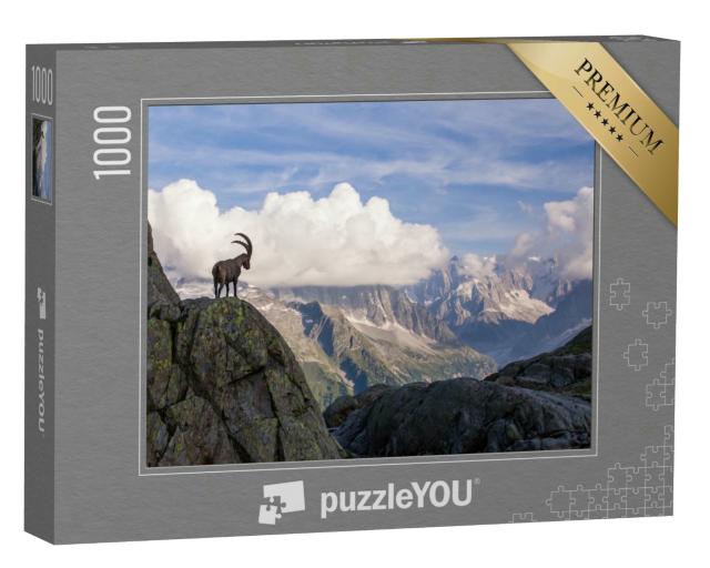 Puzzle 1000 Teile „Steinböcke vor der Mont-Blanc-Bergkette“