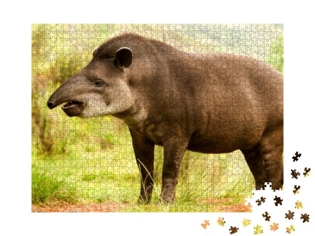 Puzzle 1000 Teile „Südamerikanischer Tapir im Wald“