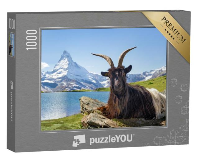 Puzzle 1000 Teile „Schwarzhalsziege vor dem Stellisee und dem Matterhorn“