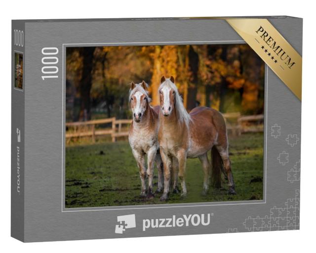 Puzzle 1000 Teile „Zwei Pferde auf einer hebstlichen Wiese“