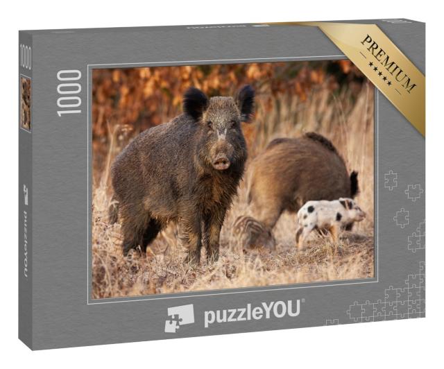 Puzzle 1000 Teile „Wildschwein,  das seine jungen Frischlinge beschützt“