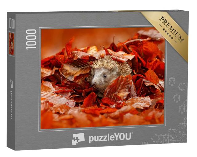 Puzzle 1000 Teile „Kleiner Igel versteckt im bunten Herbstlaub“