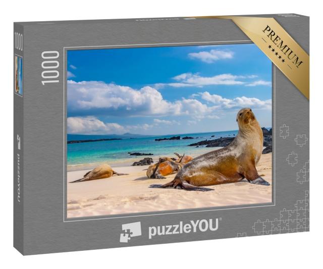 Puzzle 1000 Teile „Robben am Strand der Galapagos-Inseln, Ecuador“