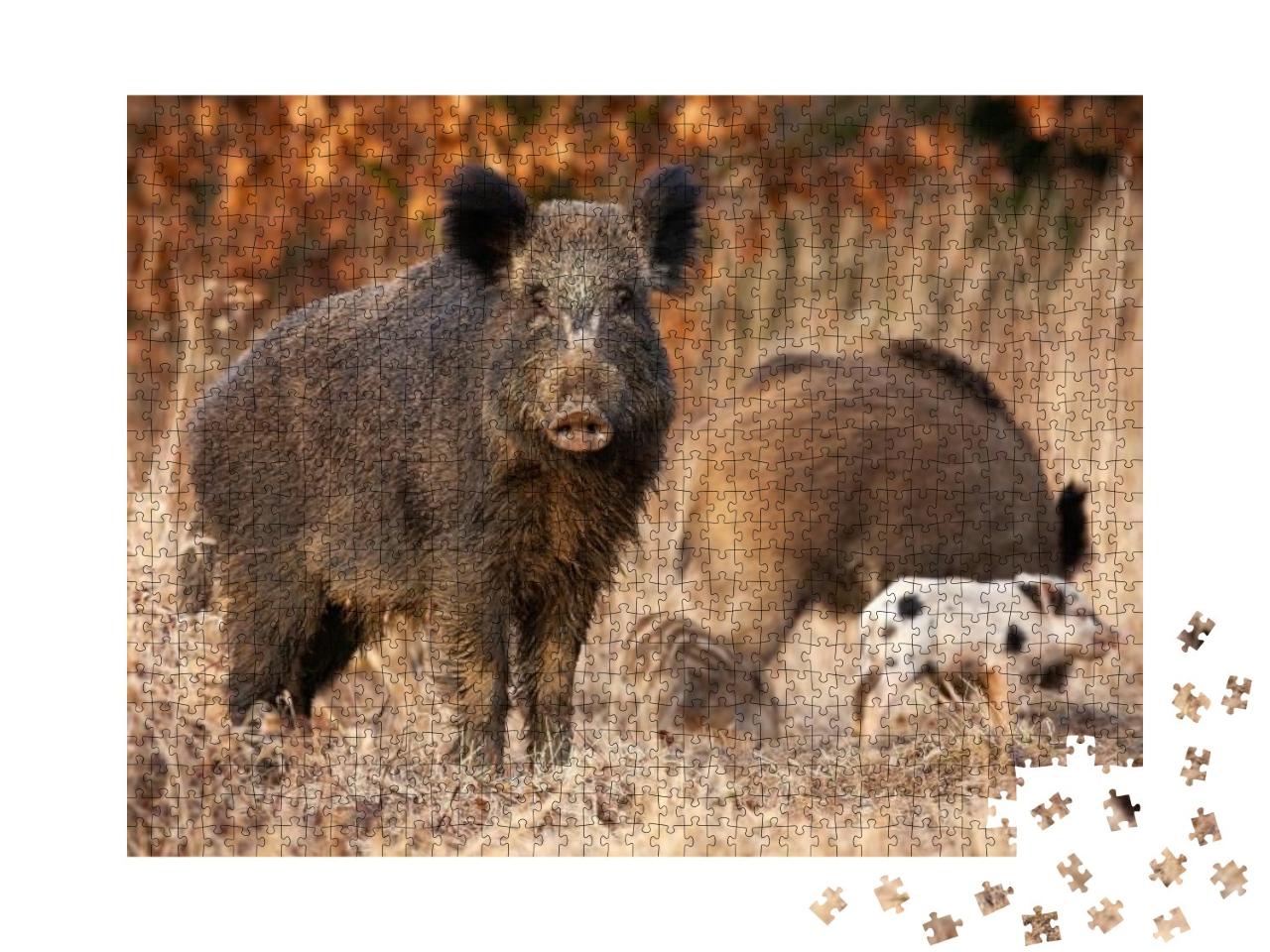 Puzzle 1000 Teile „Wildschwein, das seine jungen Frischlinge beschützt“