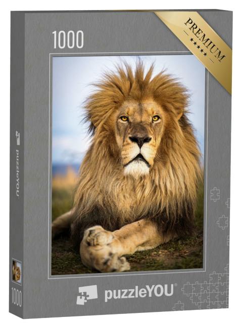 Puzzle 1000 Teile „Wilde Löwen in Südafrika“