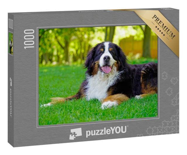 Puzzle 1000 Teile „Großer Berner Sennenhund auf dem Rasen“