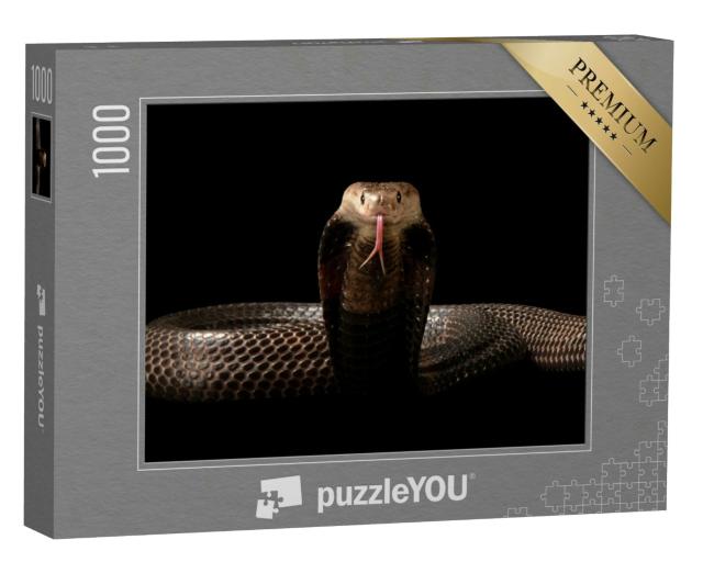 Puzzle 1000 Teile „Eine Kobra“
