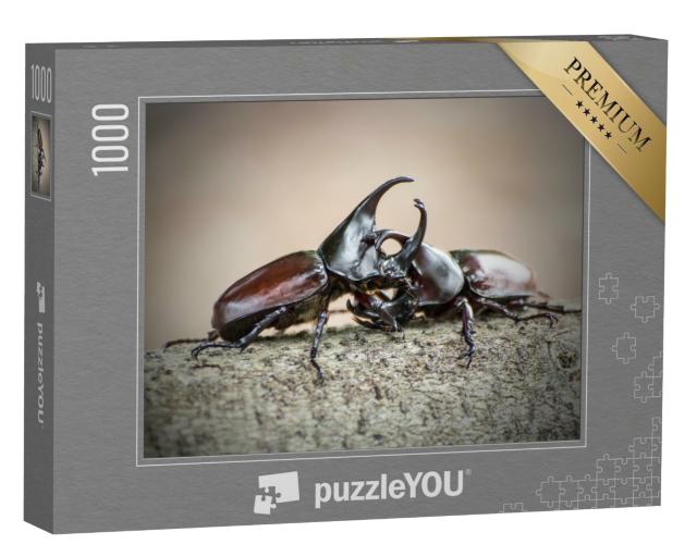 Puzzle 1000 Teile „Nashornkäfer, auch bekannt als Rhinozeroskäfer oder Kampfkäfer“